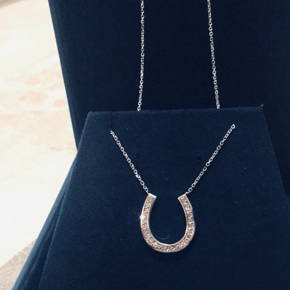 Jewelry - New, 14k white gold diamond 2 dimensional horseshoe necklace & pendant